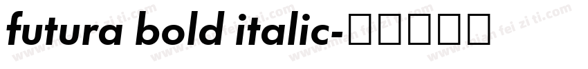 futura bold italic字体转换